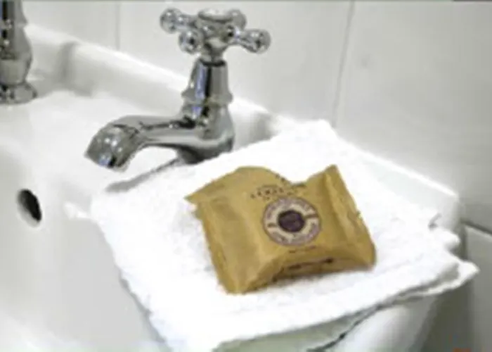 The Coachman Hutton Bushel